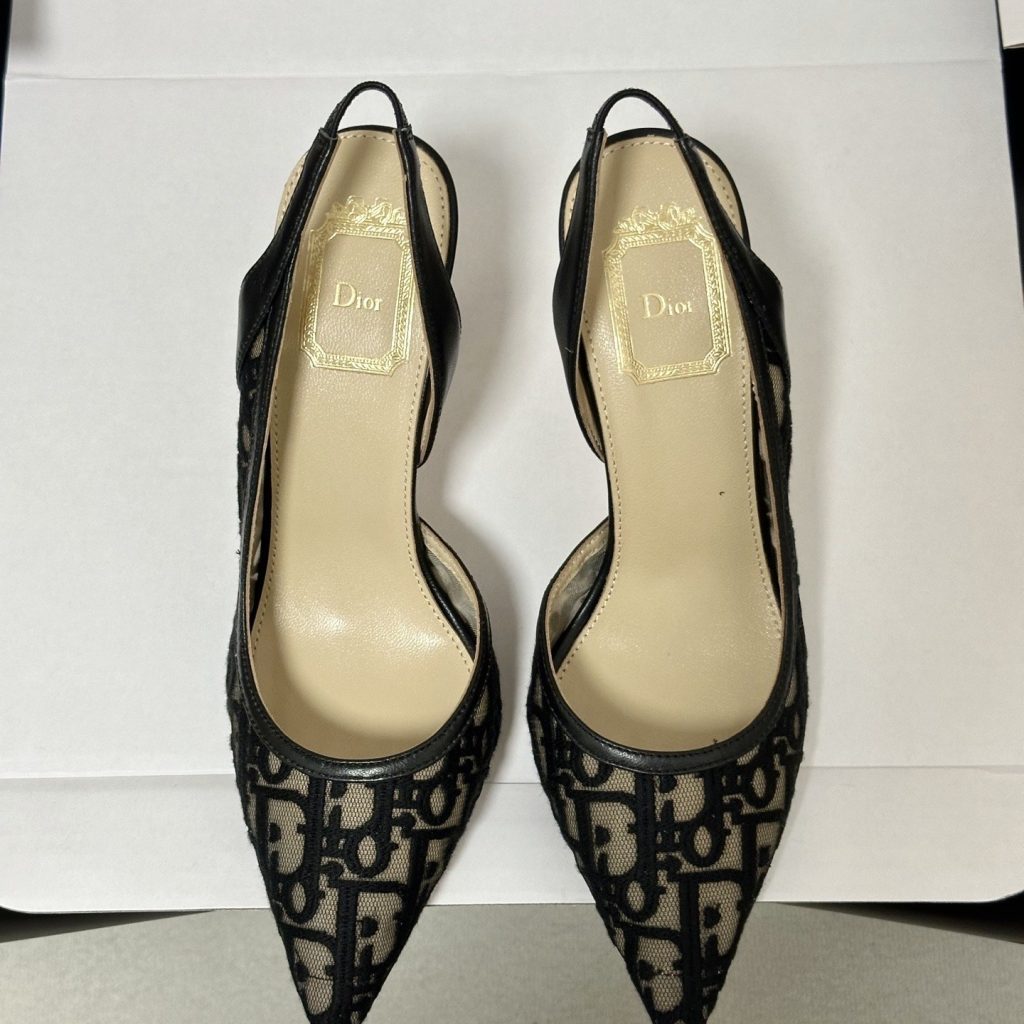 DIOR Pointed Toe High Heel Pumps in Genuine Calfskin with Lambskin Lining and Italian Leather Sole