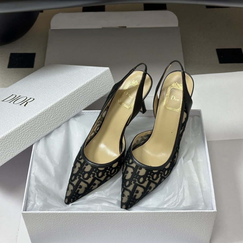DIOR Pointed Toe High Heel Pumps in Genuine Calfskin with Lambskin Lining and Italian Leather Sole