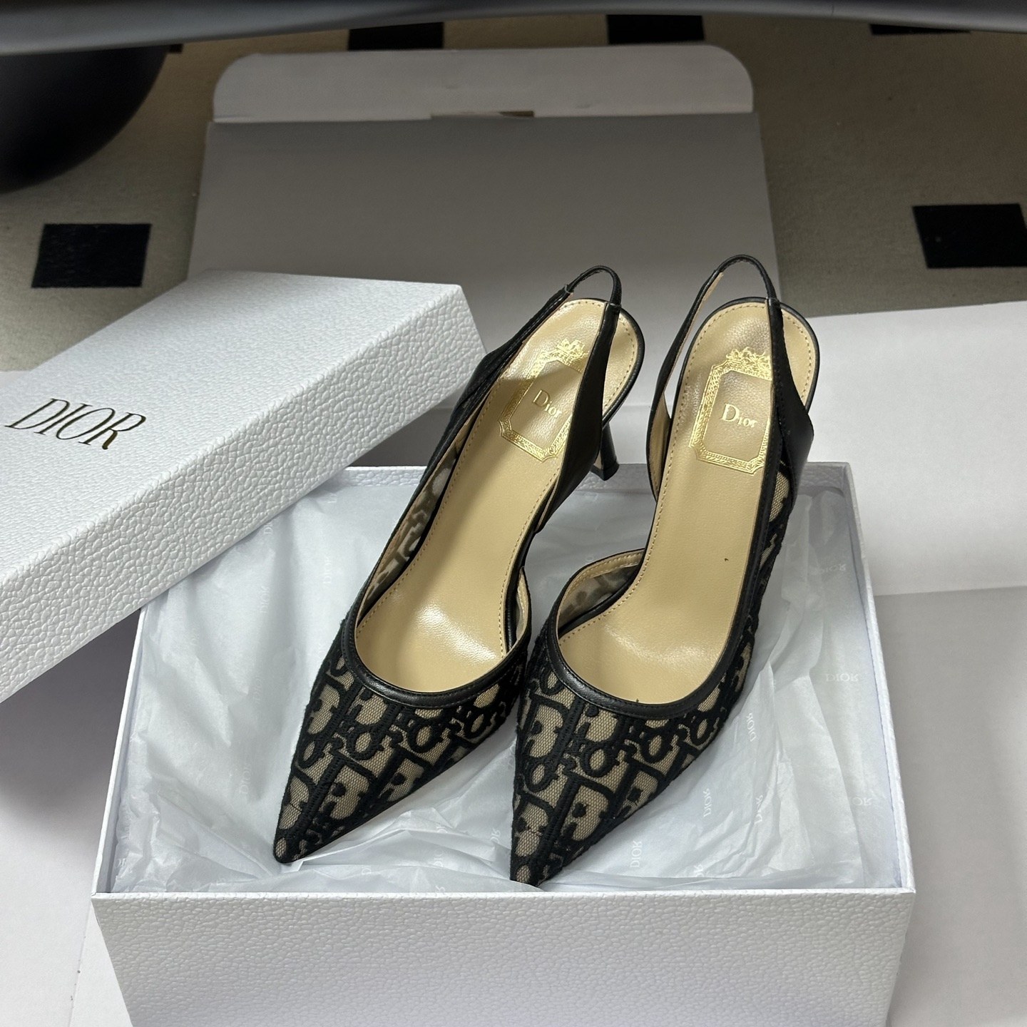 DIOR Pointed Toe High Heel Pumps in Genuine Calfskin with Lambskin Lining and Italian Leather Sole
