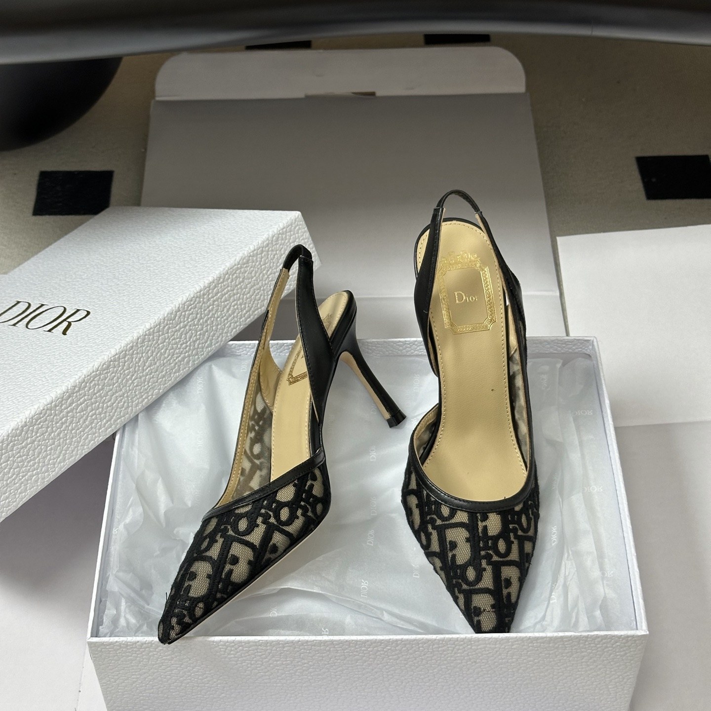 DIOR Pointed Toe High Heel Pumps in Genuine Calfskin with Lambskin Lining and Italian Leather Sole