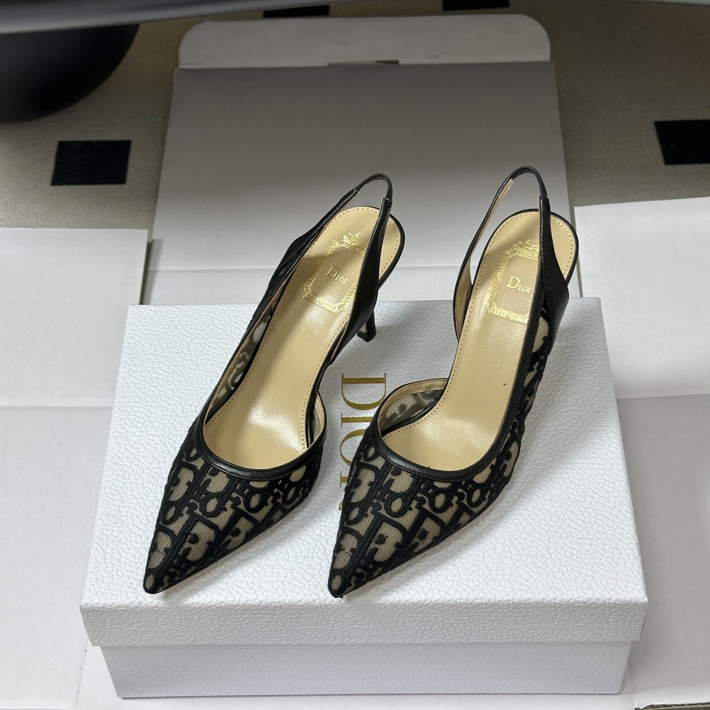 DIOR Pointed Toe High Heel Pumps in Genuine Calfskin with Lambskin Lining and Italian Leather Sole