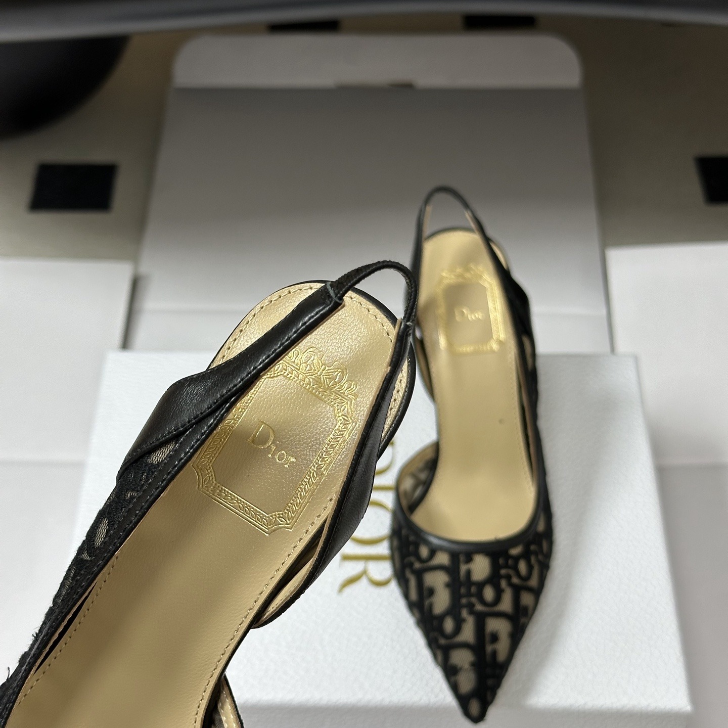 DIOR Pointed Toe High Heel Pumps in Genuine Calfskin with Lambskin Lining and Italian Leather Sole
