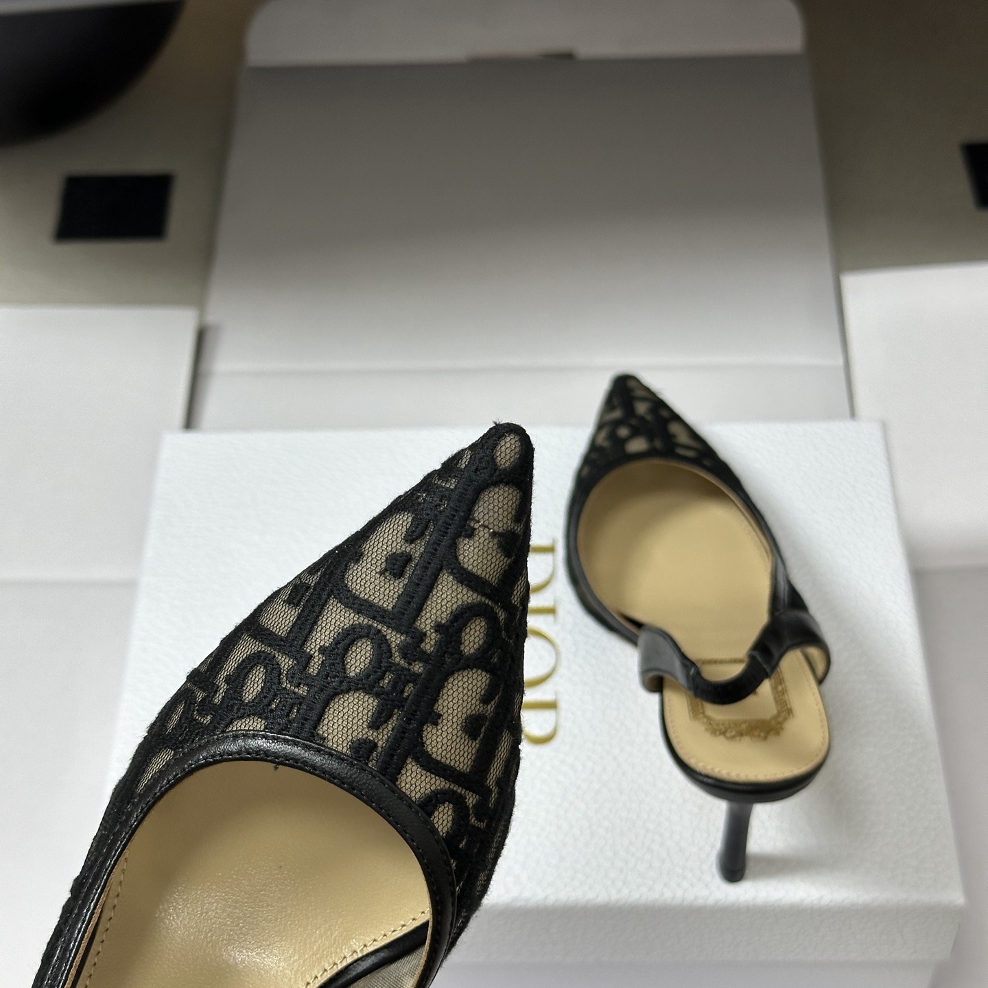 DIOR Pointed Toe High Heel Pumps in Genuine Calfskin with Lambskin Lining and Italian Leather Sole