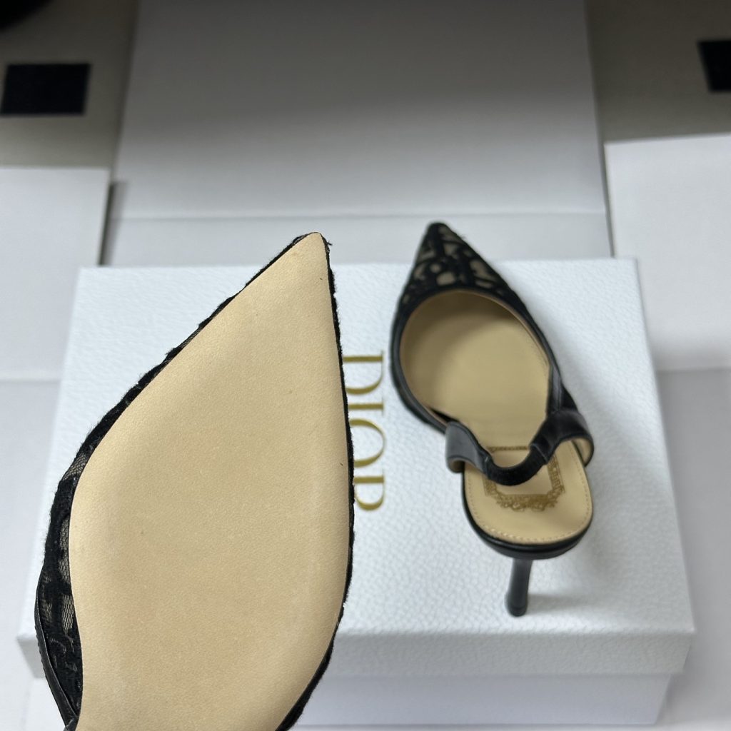 DIOR Pointed Toe High Heel Pumps in Genuine Calfskin with Lambskin Lining and Italian Leather Sole